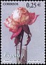 Spain - 2002 - Flora - 0,25 â‚¬ - Multicolor - Spain, Flower, Landscape - Edifil 3874 - 0